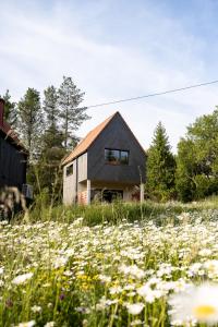 a barn with a field of flowers in front of it at Chata Wędrowca - całoroczny dom Komfort in Wetlina