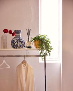 a shelf with vases and a plant and a window at B&B Antonius beej de Maas in Venlo