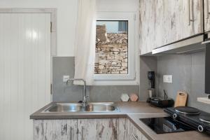 Η κουζίνα ή μικρή κουζίνα στο Studio Fourni in Driopis +12 φωτογραφίες