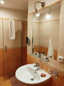 un bagno con lavandino, doccia e specchio di Hotel Modřín a Pec pod Sněžkou