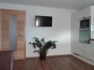 Kuchyň nebo kuchyňský kout v ubytování Ferienwohnung Berghof Pixner