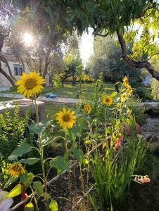 A garden outside Castillo Esmeralda
