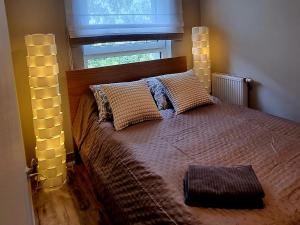 ein Schlafzimmer mit einem Bett mit zwei Kissen und einem Fenster in der Unterkunft Srebrna Ostoja 65- Atlas Arena, PIOTRKOWSKA, Manufaktura, PRYWATNY PARKING in Łódź