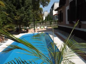 a blue swimming pool with a palm tree next to a building at Randevú apartman in Balatonföldvár