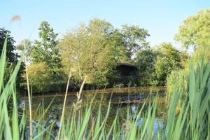 a view of a pond with trees and a bridge at Ferienwohnung Sönke-Nissen im Reetdachhaus Bongsiel in Ockholm