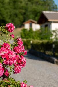 Zahrada ubytování Les Petits Ecrins - Chalets avec spas privatifs
