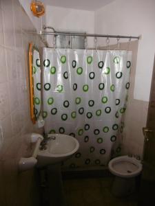 a bathroom with a sink and a shower curtain at Hostel La Casa de Tounens in Puerto Madryn