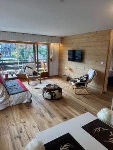 TV in/ali zabaviščno središče v nastanitvi Appartement lumineux & central + 14 fotografij