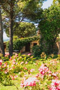 Agriturismo Sole外面的花园