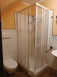 a bathroom with a shower with a toilet and a sink at B&B Abies in Polizzi Generosa