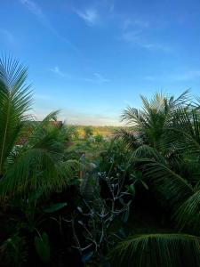 Lanskap alam di dekat homestay