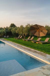 特雷宽达Agriturismo Sole的带遮阳伞、长椅和草坪的游泳池