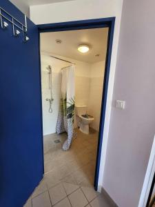 a bathroom with a shower and a toilet in a room at Domaine de Sangayrac in Saint-Amans-des-Cots