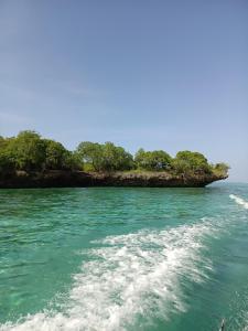 a boat in the water with a small island at Fins Zanzibar Dolphins Tours in Dimbani
