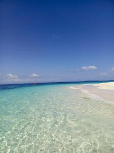 a beach with clear water and a blue sky at Fins Zanzibar Dolphins Tours in Dimbani