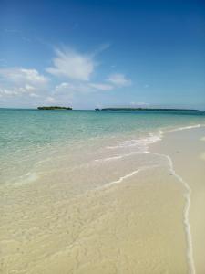 a beach with water and an island in the distance at Fins Zanzibar Dolphins Tours in Dimbani +30 photos