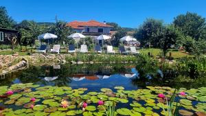 a pond with chairs and lilies in front of a house at Calla Retreat in Vezenkovo