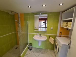 un bagno con lavandino e doccia di U Lojzika a Pulkov Altre 37 foto