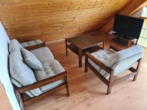 TV o dispositivi per l'intrattenimento presso U Lojzika
