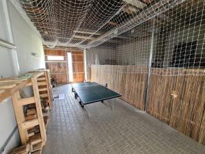 Foto dalla galleria di U Lojzika a Pulkov