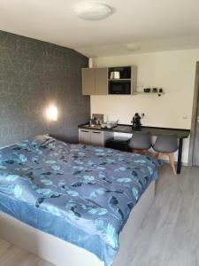 a hotel room with a bed and a kitchen at Giulia Guest House in Sovata