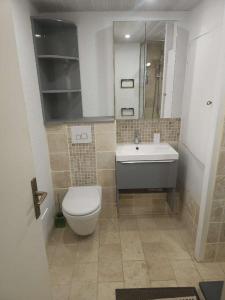 a bathroom with a toilet and a sink at Studio Clair d Eau in Hyères