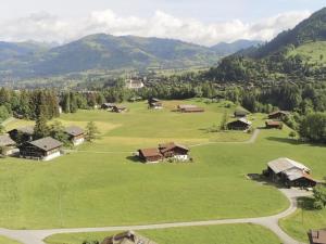 an aerial view of a green field with houses and mountains at Apartment Alpenchalet Spiher Parterre by Interhome in Gstaad