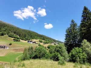Příroda nedaleko apartmánu