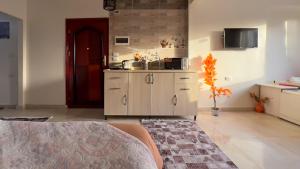 A kitchen or kitchenette at giza pyramids view