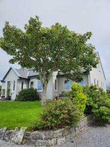 a white house with a tree in the yard at Fairwinds Guest Accommodation in Doolin