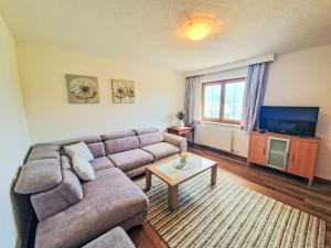 Μια τηλεόραση ή/και κέντρο ψυχαγωγίας στο Apartment Dinkl by Interhome