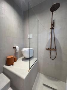 a bathroom with a toilet and a glass shower at Estrella house in Kithnos