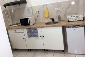 eine Küchentheke mit Spüle und Mikrowelle in der Unterkunft F1 Gennevilliers Séjour Pro et Détente in Gennevilliers