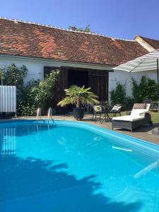 Bazén v ubytování Bed & Breakfast Chez Lips nebo v jeho okolí