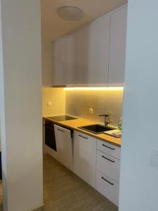 Η κουζίνα ή μικρή κουζίνα στο Apartman Sena