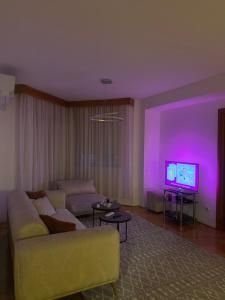 Μια τηλεόραση ή/και κέντρο ψυχαγωγίας στο Apartman Sena