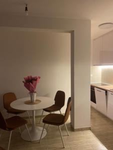 Φωτογραφία από το άλμπουμ του Apartman Sena σε Νίκσιτς