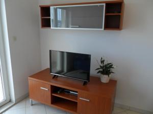 Телевизор и/или развлекательный центр в Apartments & Room Marina View