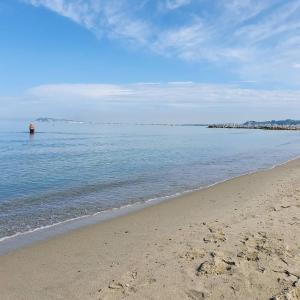a sandy beach with a pier in the water at Gurguri Hotel in Golem