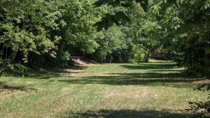 a tree lined path with grass and trees at Outsidersi Campsite in Savina