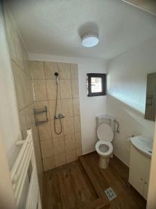 a bathroom with a shower and a toilet and a sink at Casutele Ariesene in Arieşeni +11 photos