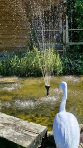 Fotografija u galeriji objekta The Yoke B&B and Self-Catering Accommodation Laois u gradu Ballybrittas