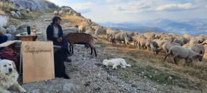 Φωτογραφία από το άλμπουμ του Le refuge du Mont Chiran σε Blieux