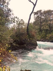 Φυσικό τοπίο κοντά σε αυτή η παραθεριστική κατοικία