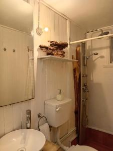 Ένα μπάνιο στο Huilo-Huilo Cabaña Huilin