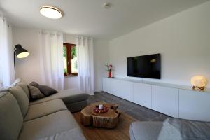 TV a/nebo společenská místnost v ubytování Ferienwohnung "Bergzeit" in Feldberg- Falkau