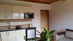 a kitchen with a sink and a microwave at Apartament z widokiem na góry 2 in Bustryk