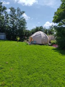 a tent in a field of green grass at Bellavita in Amlwch