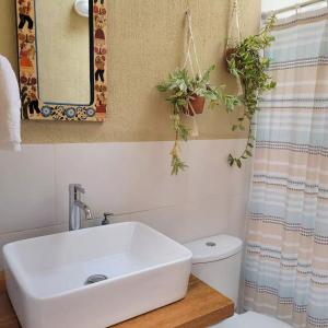 a bathroom with a sink and a toilet with plants at Charming Urubamba Cusco house - Kapuliyuq in Urubamba