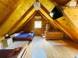 a attic room with a bed and a tv at Property with your own beach and pool - Whispering Waters in Krupa na Vrbasu